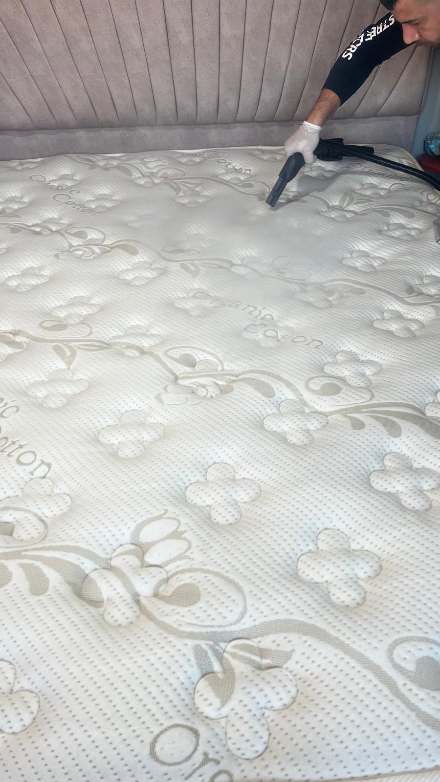 Çınar Buharlı Yıkama